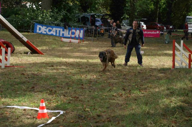 foire-haricots 2011-09-17et18